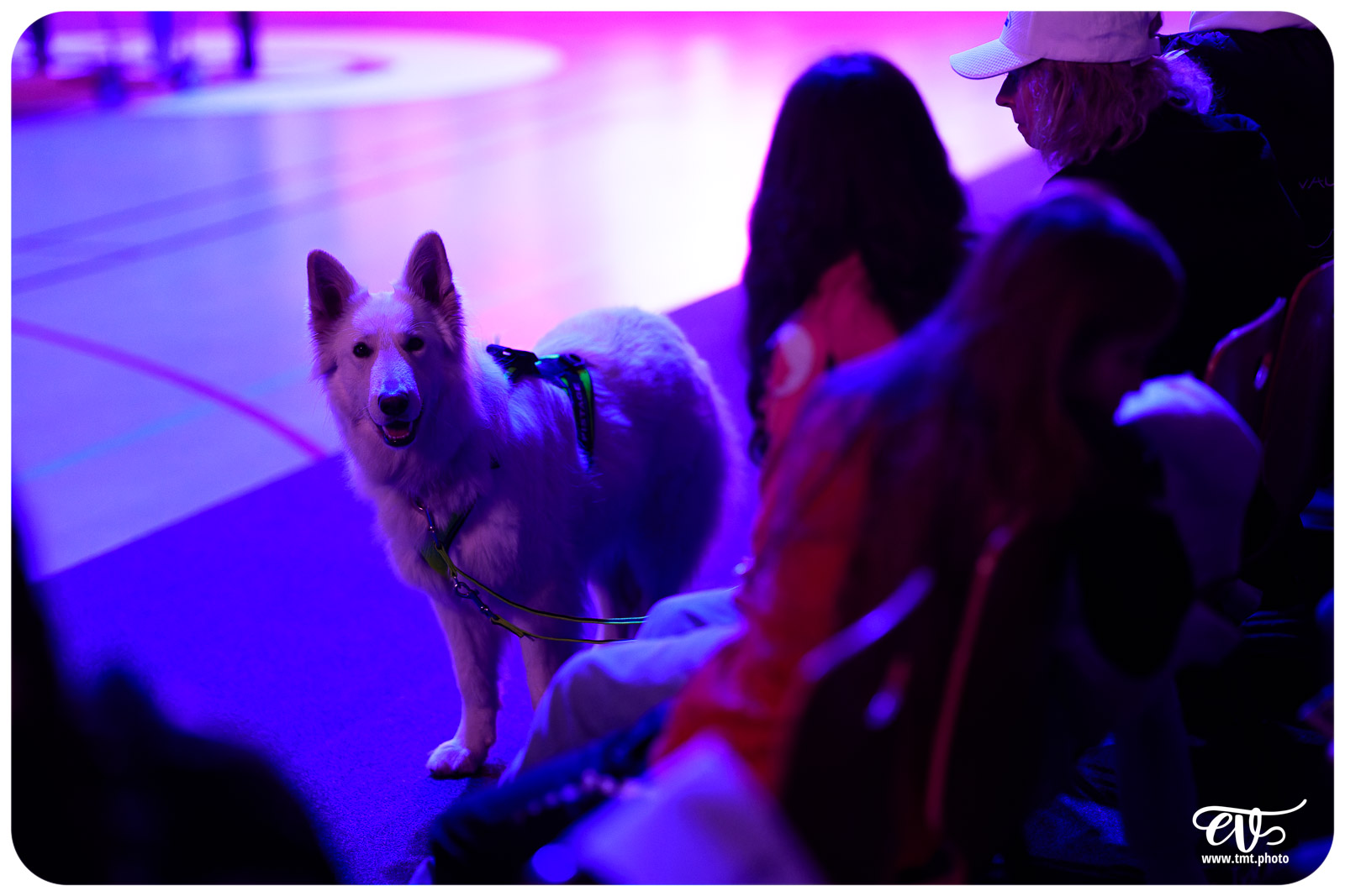 CEREMONIE DES CHAMPIONS